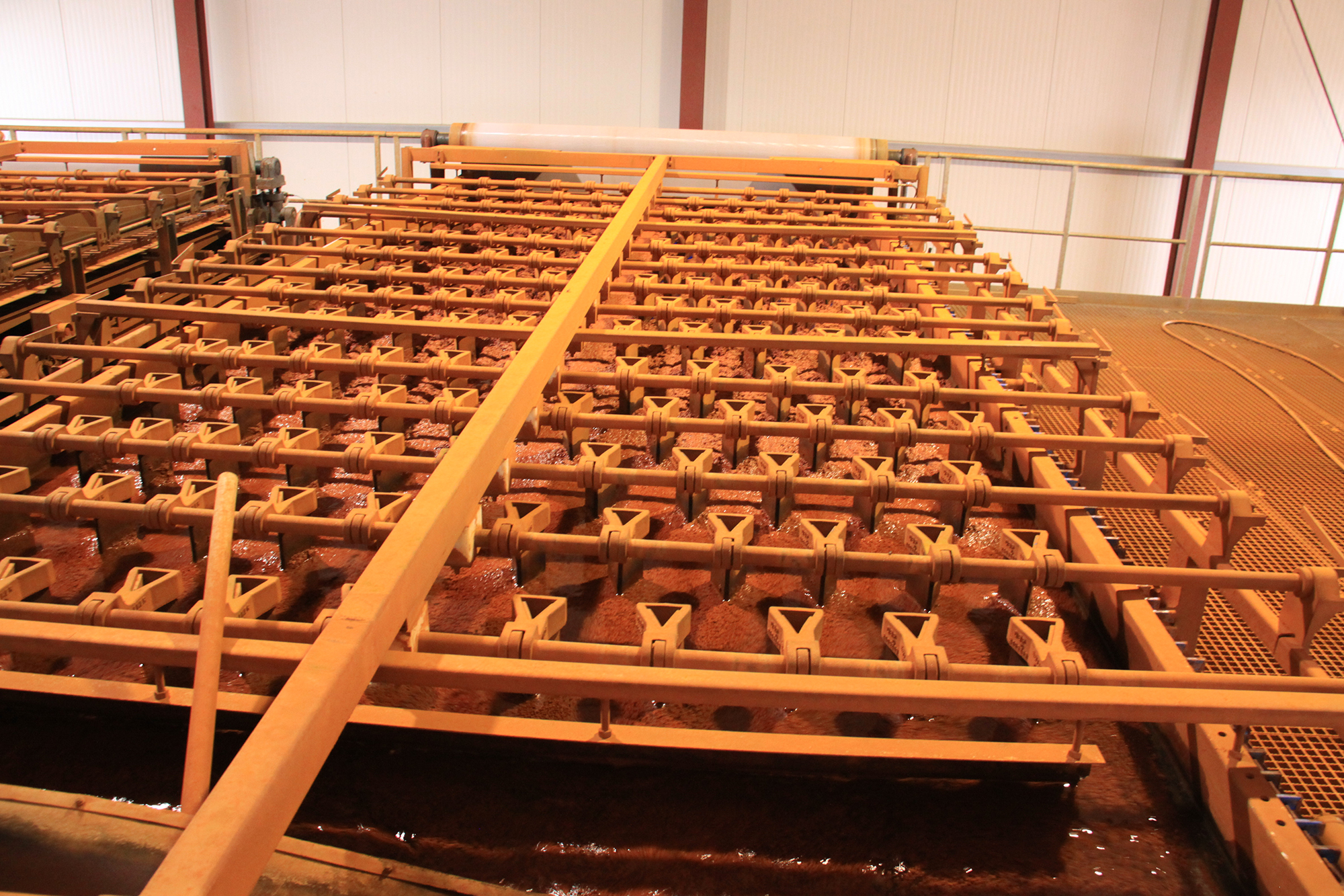 Production of BC.ATOX Scon Production of BC.ATOX Scon