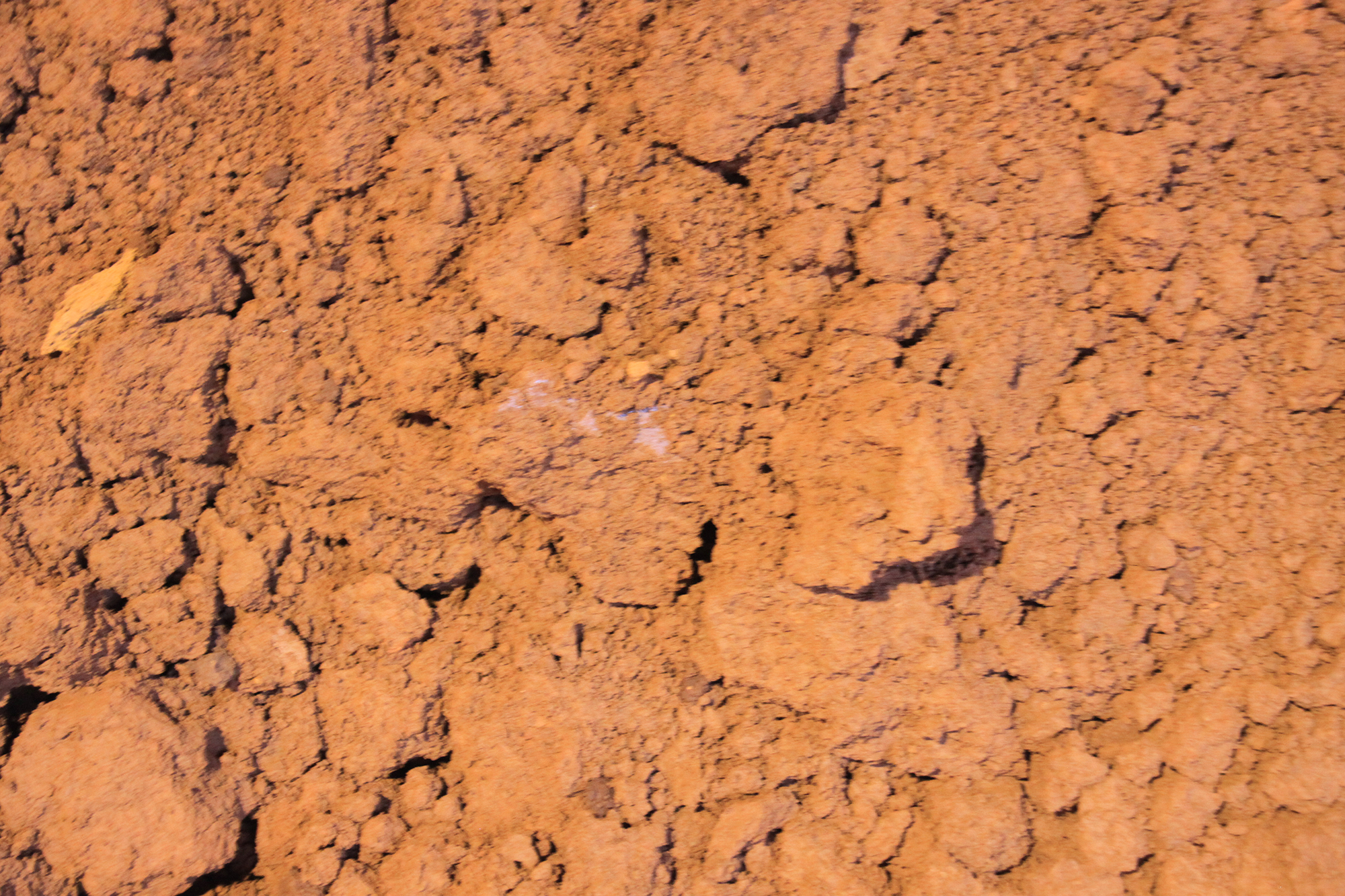 Production of BC.ATOX Scon Production of BC.ATOX Scon