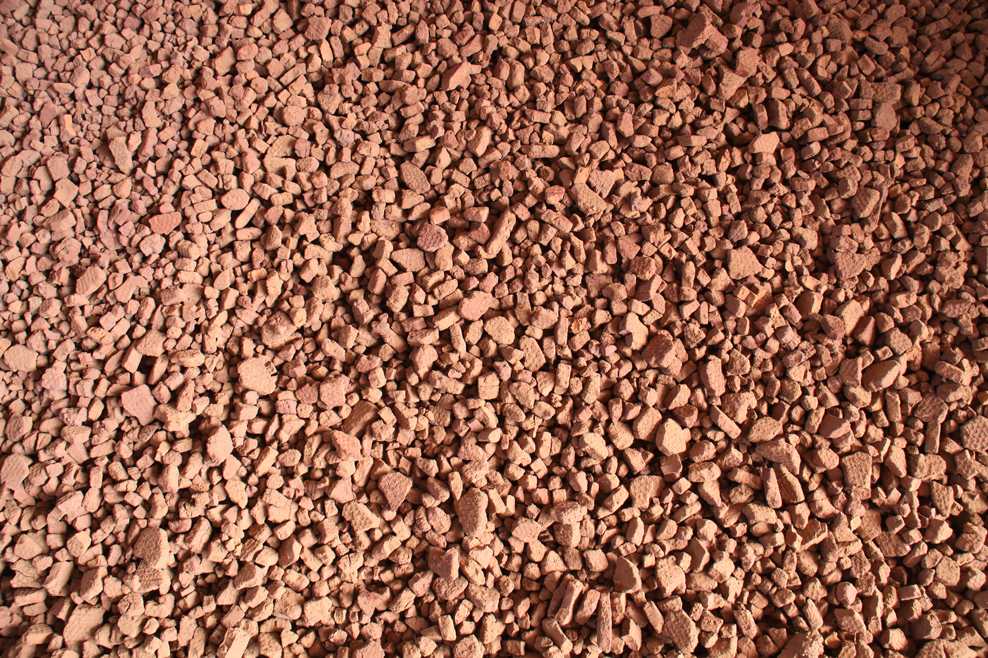 Production of BC.ATOX Scon Production of BC.ATOX Scon