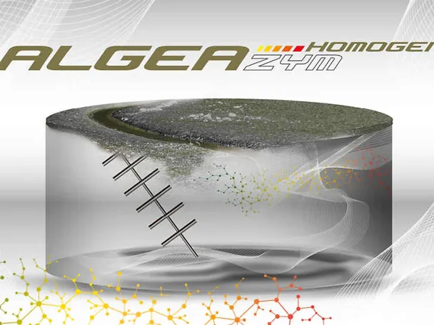 Graphic ALGEAZYM Homogeneous