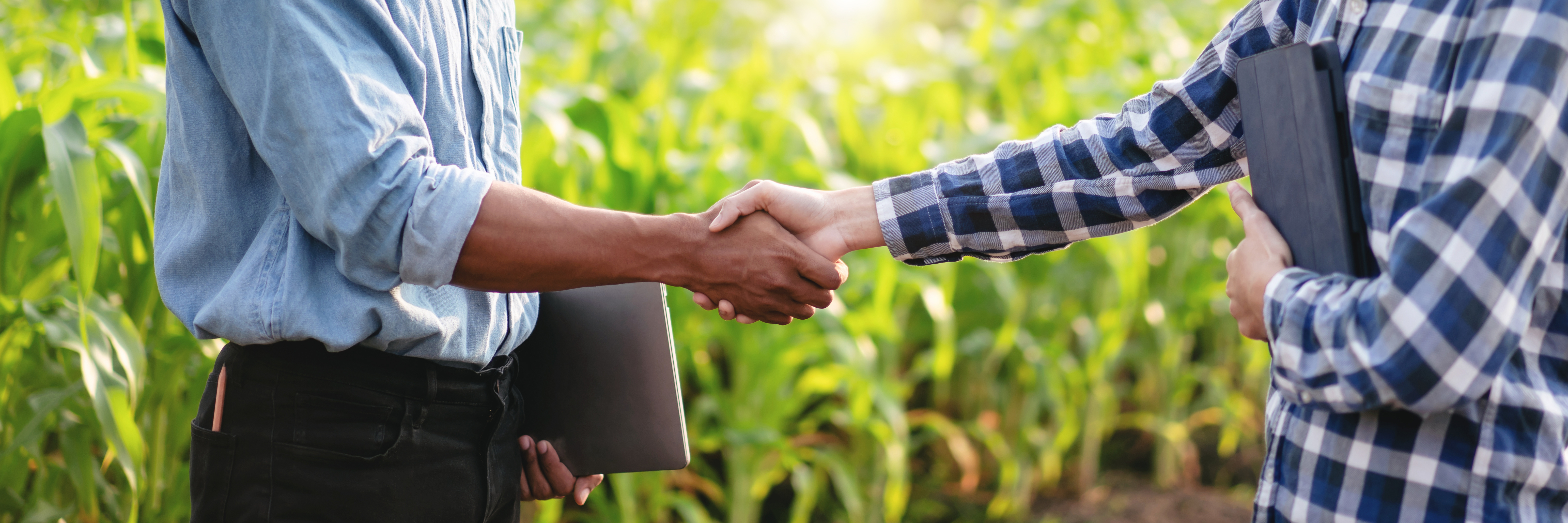 Handshake on the field