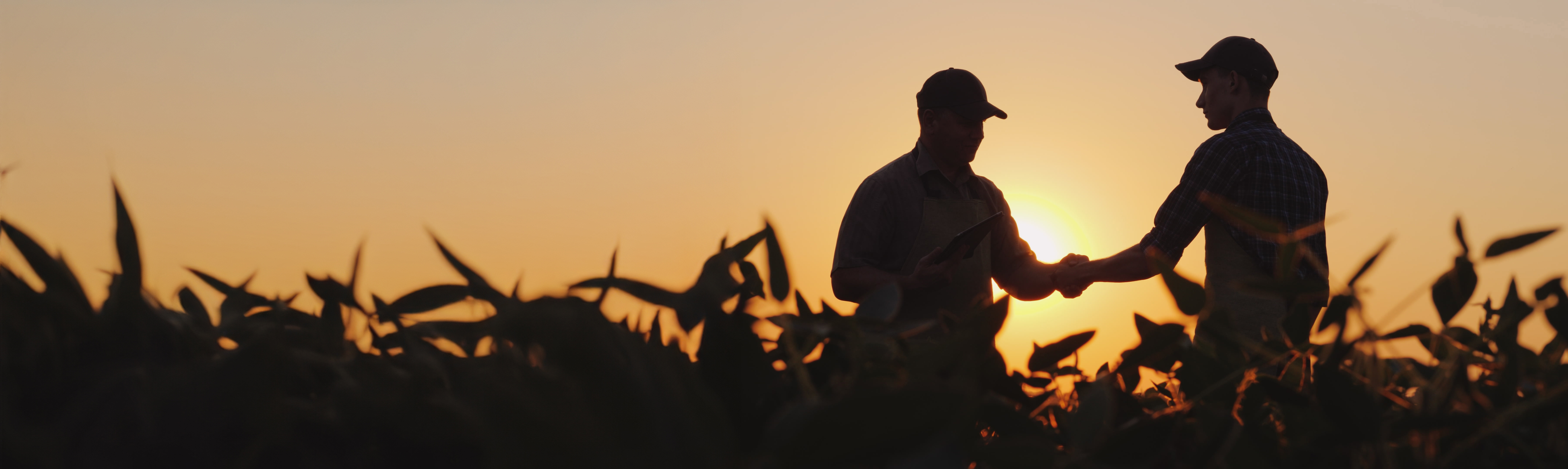 Handshake on the field