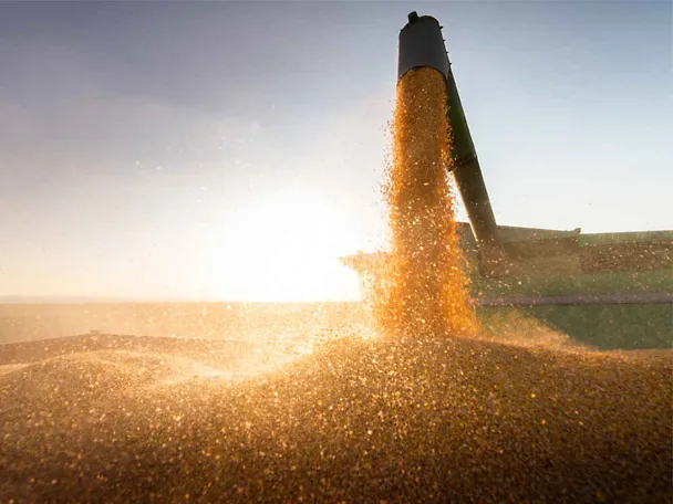 Harvest sunset Harvest sunset