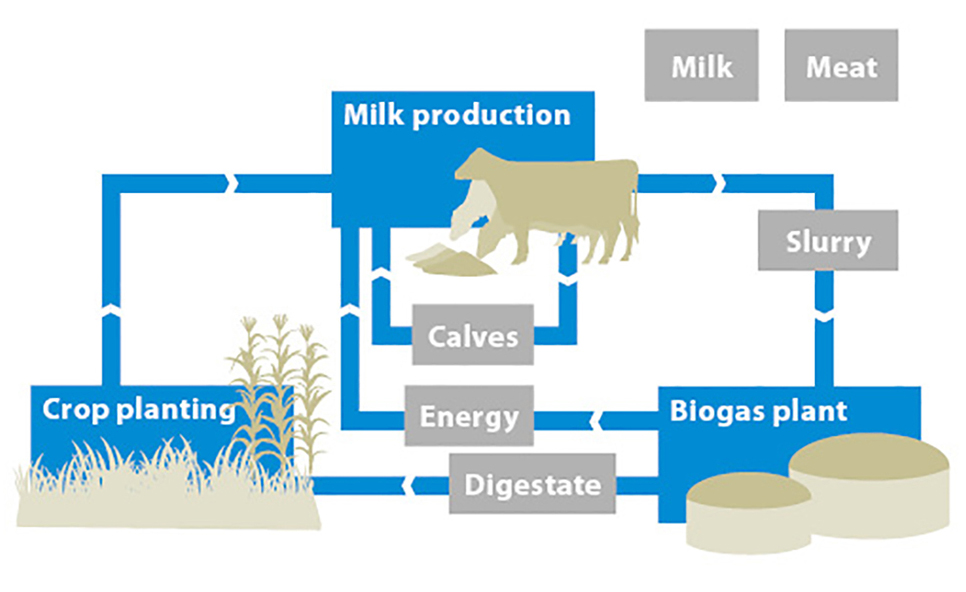 Production system at the Hülsenberg estate, simplified representation