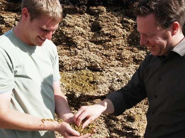 Consultation between two men at the silo cutting area Consultation between two men at the silo cutting area